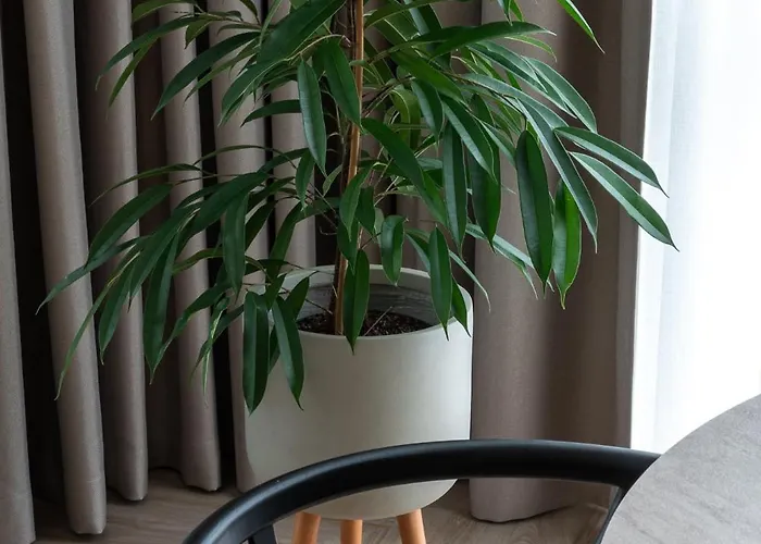 Parko Pakrantes Apartamentai Appartement *